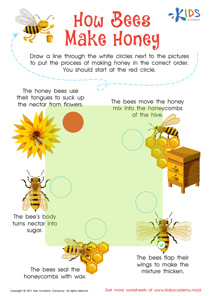 Honey Bee Worksheet Answer Key