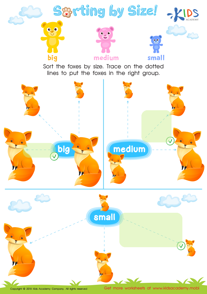 Sorting by Size Worksheet Answer Key
